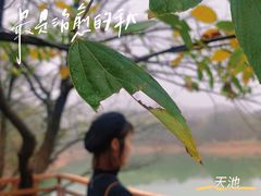 -南京市无想山景区