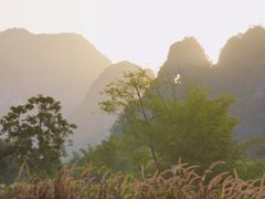 -明仕田园