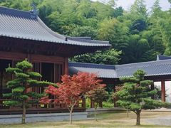 -兰亭风景区