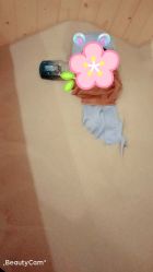 -碧玺沙灸美容美体养生馆