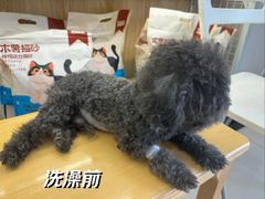 -瑞鹏宠物医院•异宠•宠保定点•流浪定点救助宠物医院(青祁店)