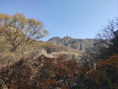 -大岭沟猕猴桃谷风景区