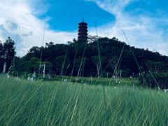 -红花山公园