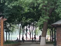 -莲花池公园