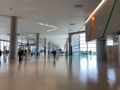 -虹桥机场国航贵宾室v8