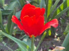 -长春公园(普阳街道)