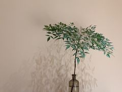 -恒悦轩·粤菜(上海展览中心店)