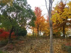 -嘉定凯悦·咖啡厅