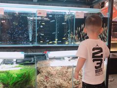 -宠物世家(仲盛世界商城店)