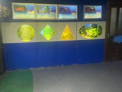-嘉兴海底世界