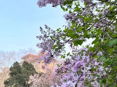 -山东师范大学(千佛山校区)