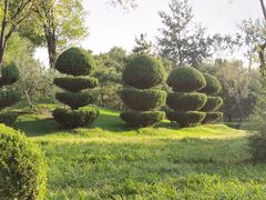 -燕郊植物园