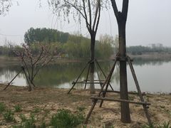 -东郊湿地公园