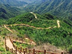 -大岭沟猕猴桃谷风景区