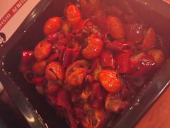 -猫员外精酿啤酒馆(壹海城店)