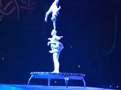 -珠海横琴长隆《卡卡虎奇遇记》