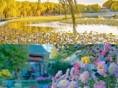 -北海公园