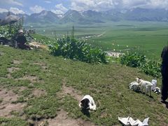-新疆那拉提国家旅游度假区