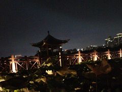 -南宁南湖公园