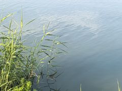 -漕湖湿地公园