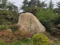 -西苑公园