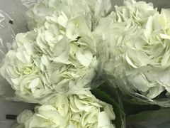 -亭亭鲜花店(中山北路店)