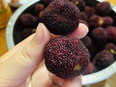 杨梅-百果园PAGODA(建业如意家园店)