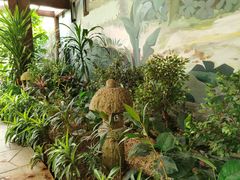 -南宫温泉水世界