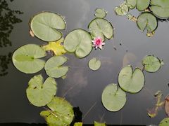 -杭州张苍水先生祠