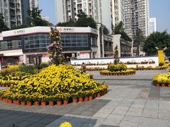 -万达广场(巴南店)