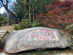 -庐山风景区花径公园