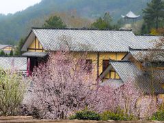 -黄陂区野村谷景区