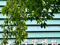 -四川宋瓷博物馆