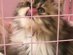 -弘阳·未来世界(弘阳广场店)