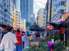 -哈尔滨道外花鸟鱼市场