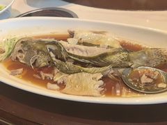 -紫阳富豪大酒店(惠南店)