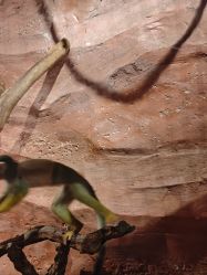 -Zoolung Zoolung动物主题公园(海信广场店)