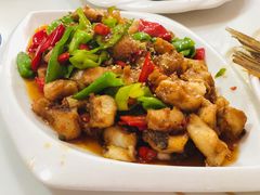 -煲来饱去冷水鱼