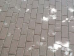 -王鹏家常菜馆