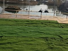 -美家乐农庄·露营·团建(大治路店)