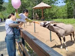 -大连森林动物园