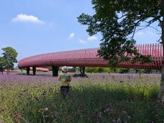 -江苏三台山国家森林公园