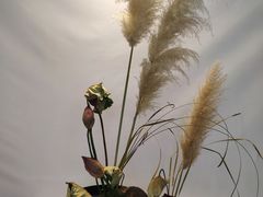 -莲湖公园