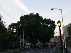 -THE PADDY FIELD田野西餐厅(禅城店)