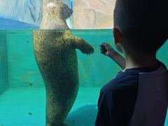 -北戴河圣蓝海洋公园