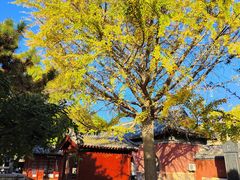 -泰山风景名胜区