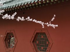 -桃花堤公园