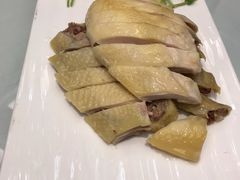 -七仙女渔港(奥邦广场店)
