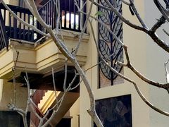 -西双版纳安纳塔拉度假酒店