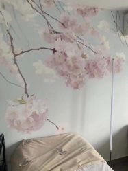 -L.MJ轻奢皮肤管理中心